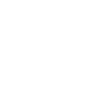 logo Flemmings