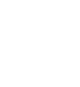 logo ImValoris